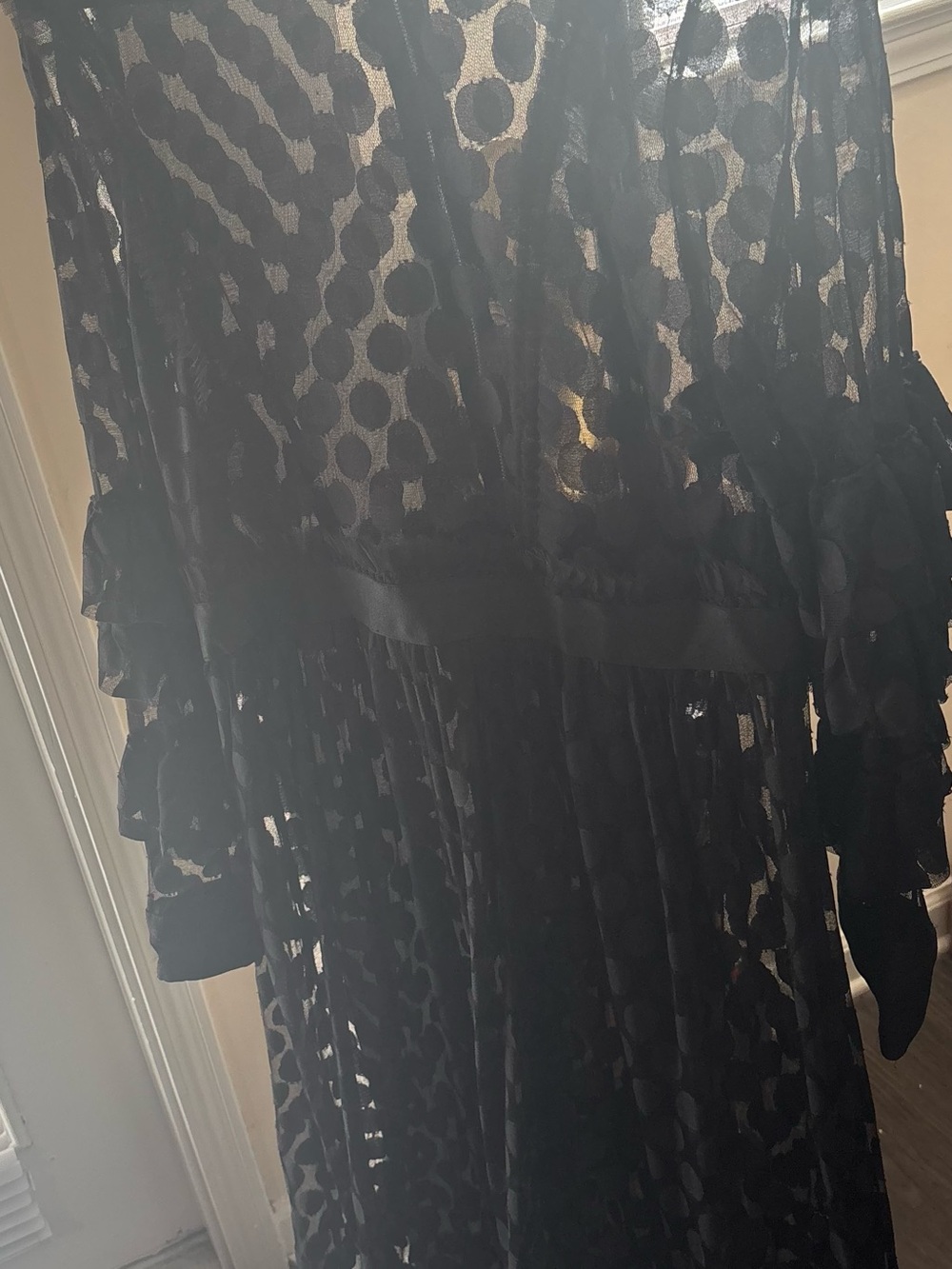 Plus Size Black Sheer Polka Dot Maxi Dress with Ruffle Hem - Picture 3 of 3